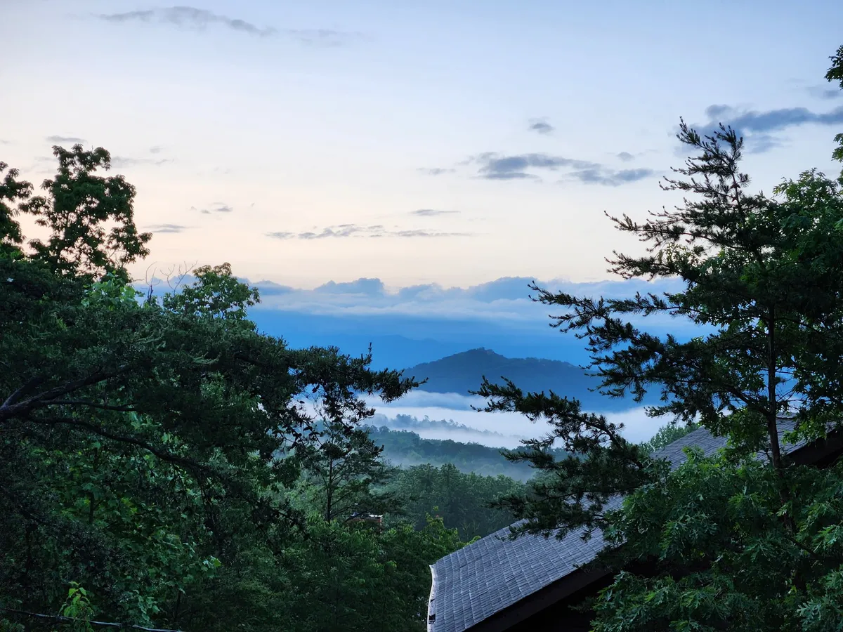 A serene panorama of a mountain range with fog drifting through the valley and lush greenery in the foreground. The sky suggests early morning or late afternoon, ideal times for walks with dogs or relaxing outdoors.